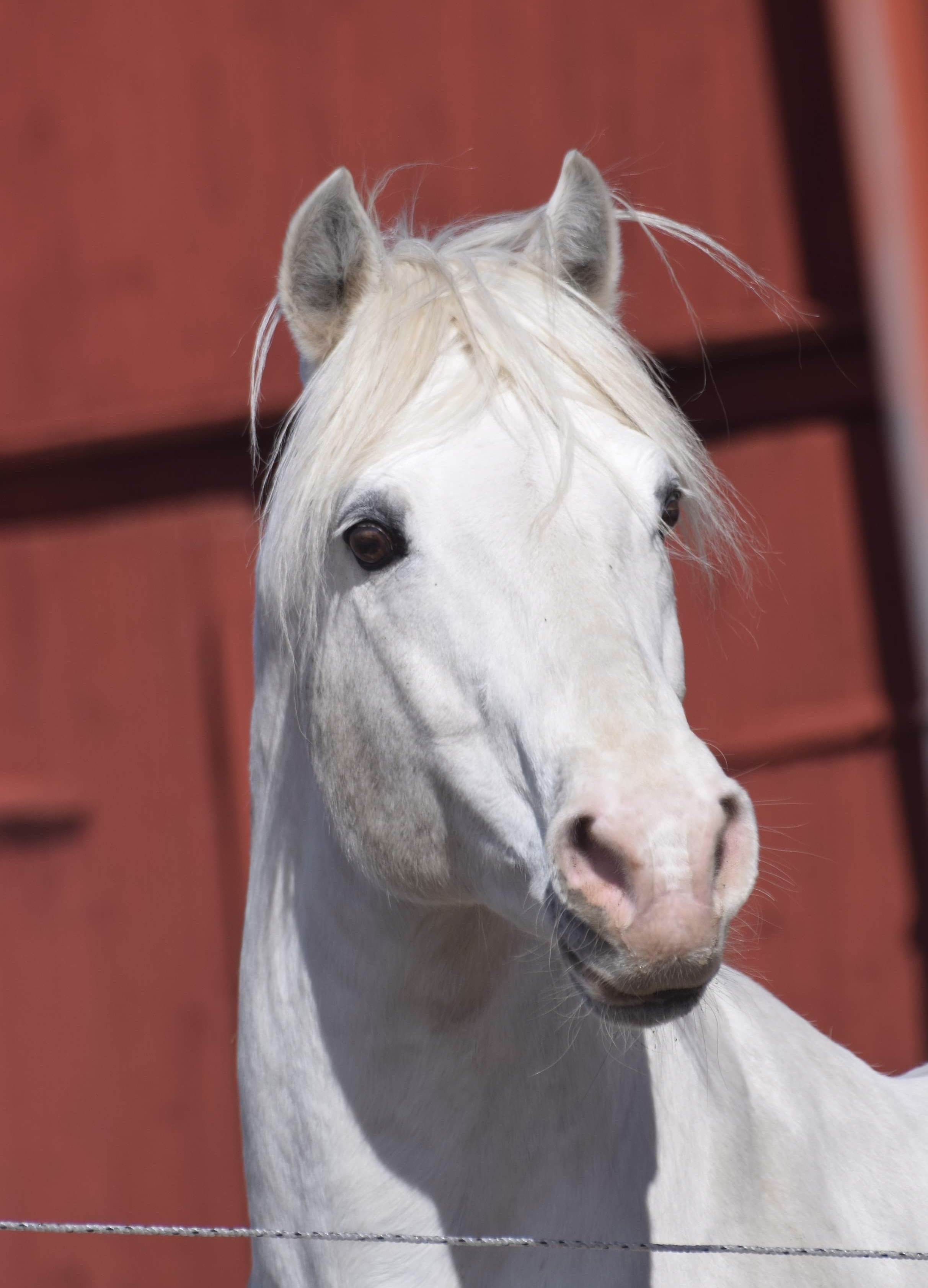Gräns Diamond Surf RC 100 - Connemara