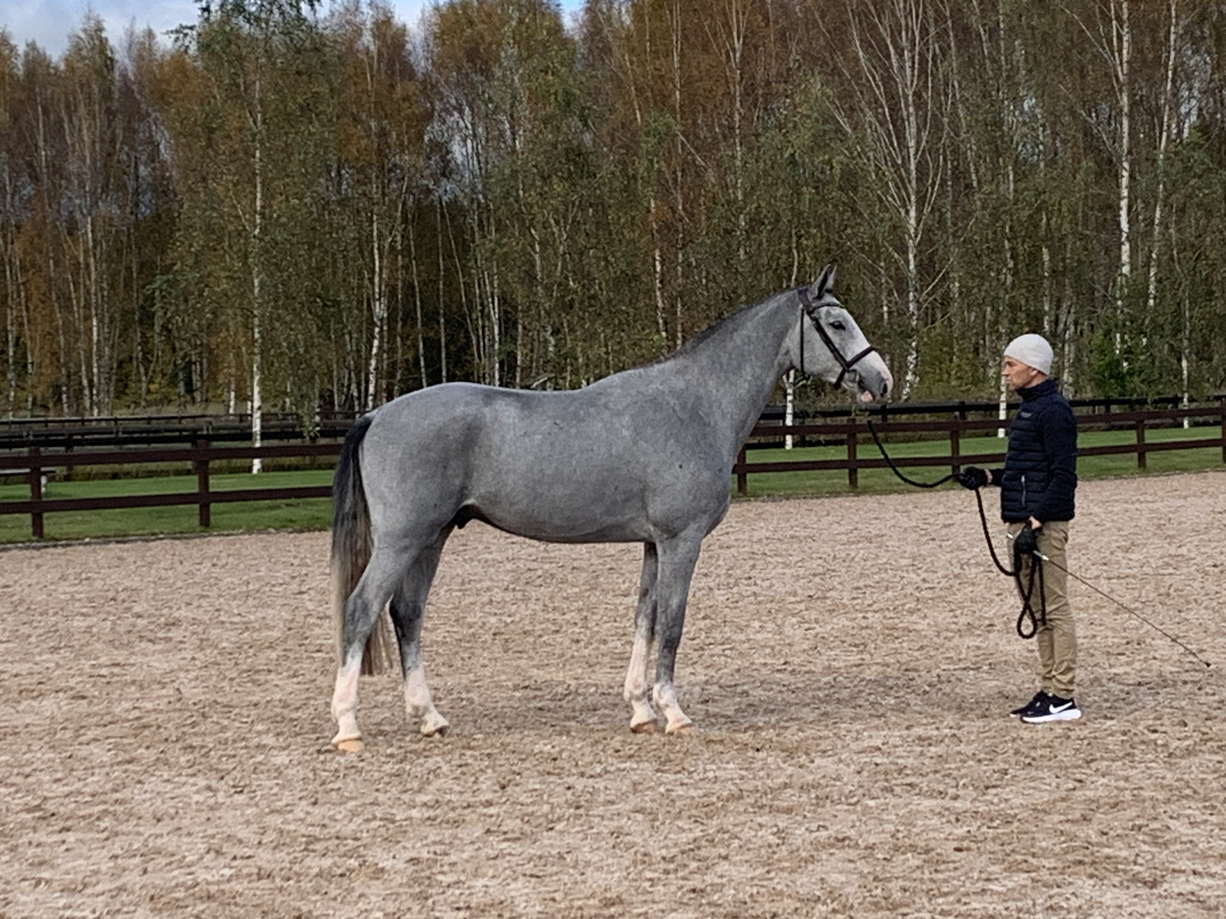 Framtida tävlingshäst