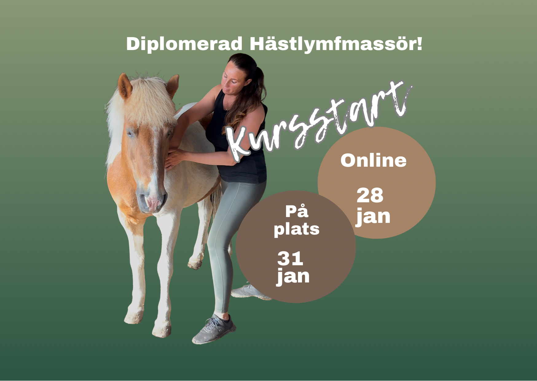 Diplomerad Hästlymfmassör