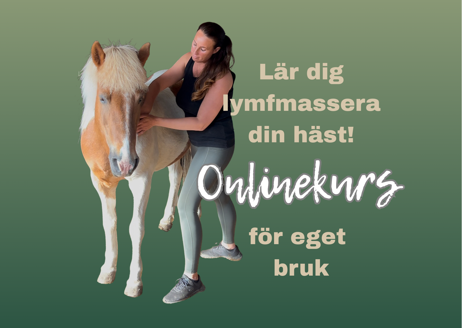 Lär dig lymfmassera din häst!