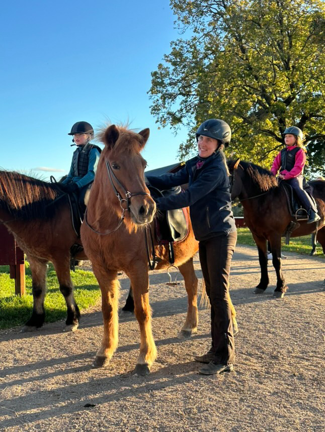 Ridkurser för dig med egen häst